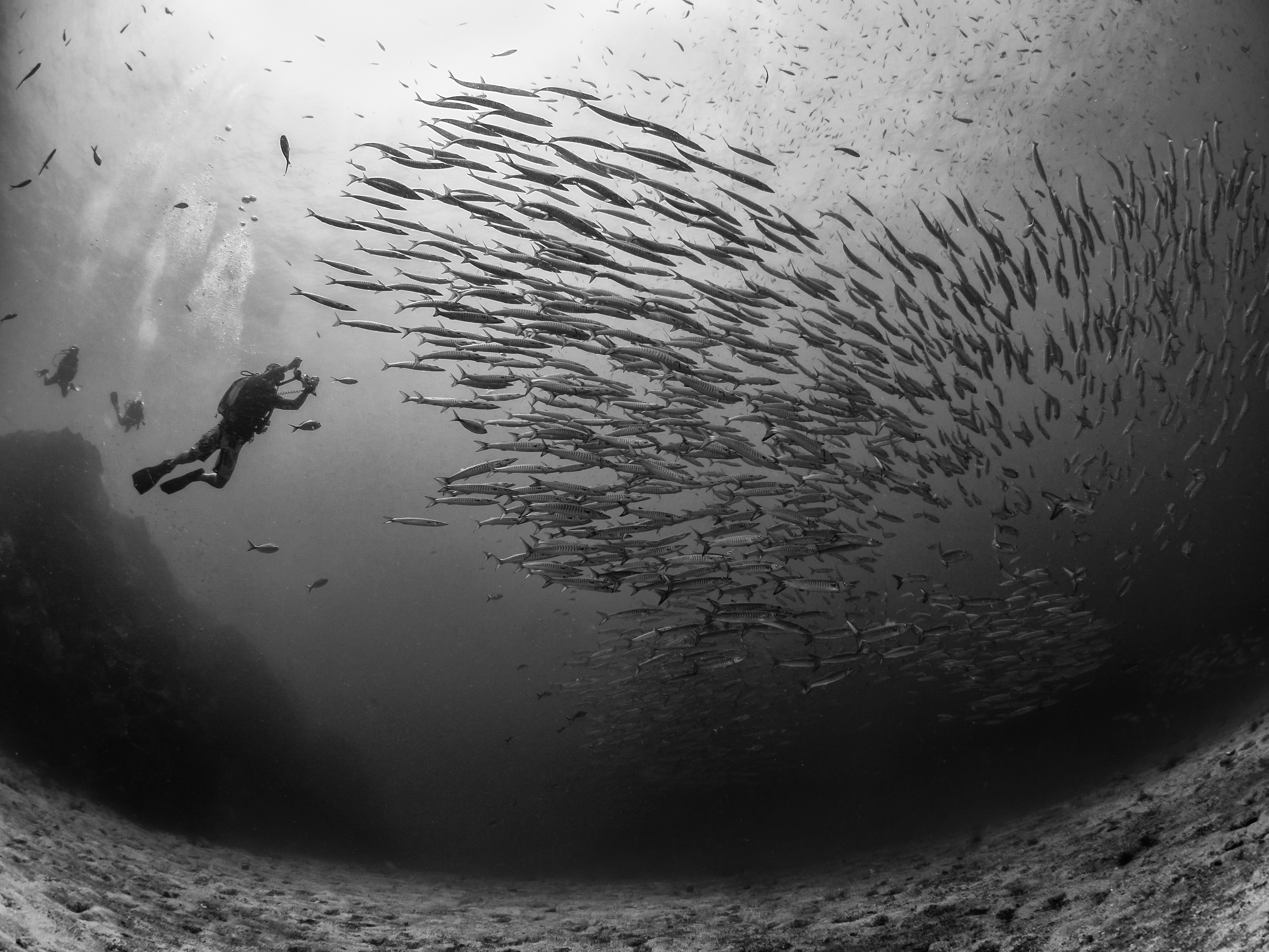 Photography by Stefan Follows (https://500px.com/p/diverstef?view=photos)